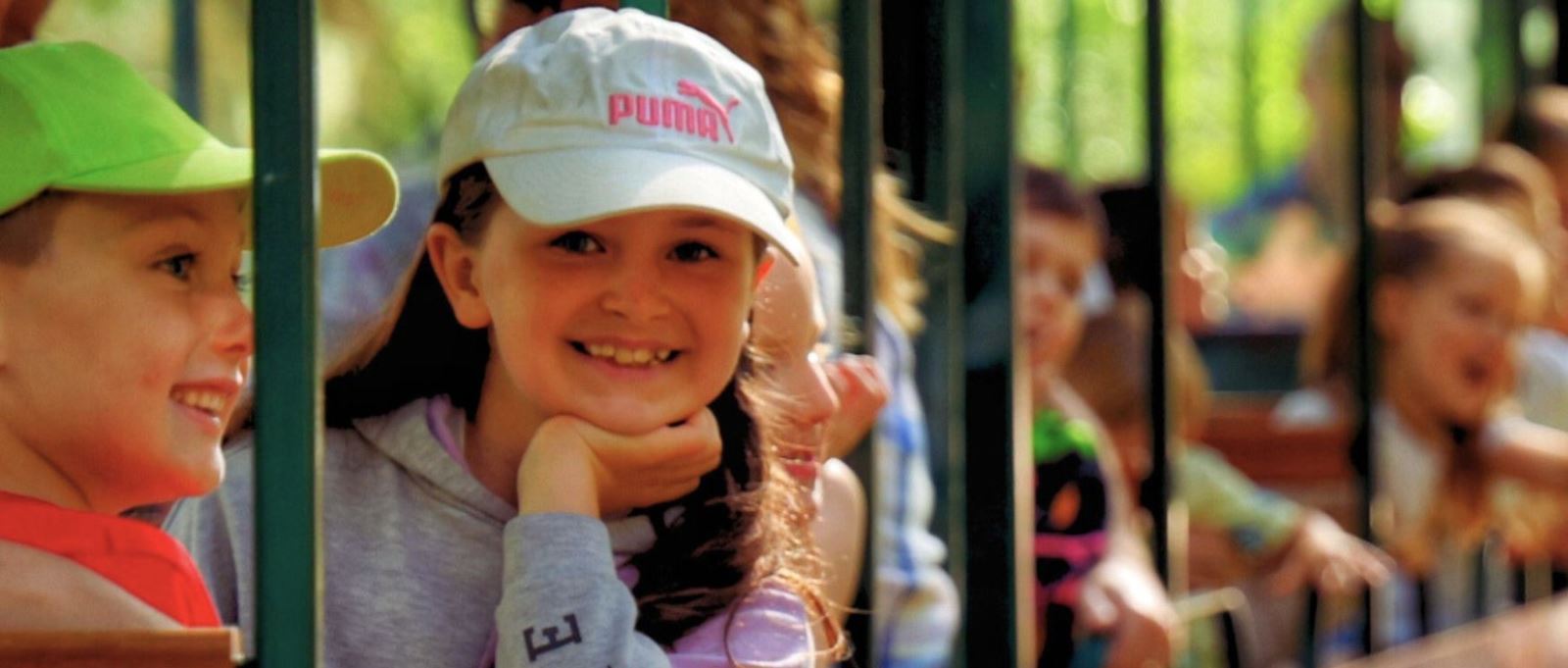 Children on the train at Wellington Country Park